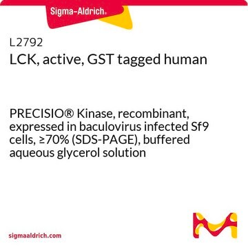 GSTタグ付加活性型LCK ヒト PRECISIO&#174; Kinase, recombinant, expressed in baculovirus infected Sf9 cells, &#8805;70% (SDS-PAGE), buffered aqueous glycerol solution