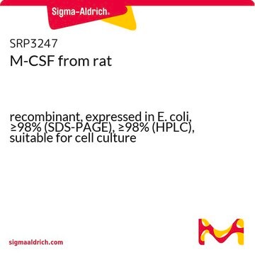 M-CSF from rat recombinant, expressed in E. coli, &#8805;98% (SDS-PAGE), &#8805;98% (HPLC), suitable for cell culture