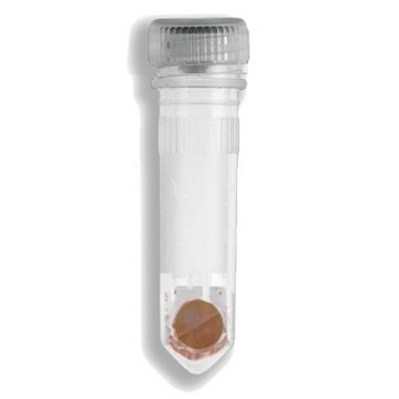 Prefilled tubes for BeadBlaster&#8482; 24 Microtube and BeadBug homogenizer 2 ml tubes, with garnet shards with 1 zirconium bead, diam. 6.0 mm