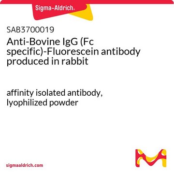 Anti-Bovine IgG (Fc specific)-Fluorescein antibody produced in rabbit affinity isolated antibody, lyophilized powder