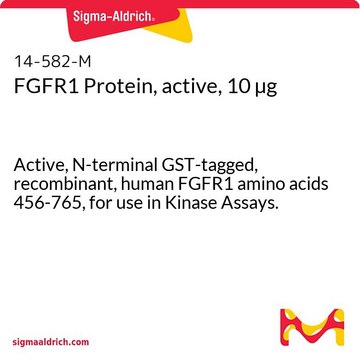 FGFR1 Protein, active, 10 &#181;g Active, N-terminal GST-tagged, recombinant, human FGFR1 amino acids 456-765, for use in Kinase Assays.