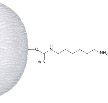 &#969;-Aminohexyl–Agarose saline suspension