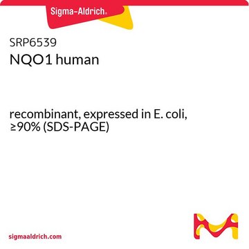 NQO1 ヒト recombinant, expressed in E. coli, &#8805;90% (SDS-PAGE)