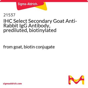 Anticorps secondaire de chèvre IHC Select anti-IgG de lapin, prédilué, biotinylé from goat, biotin conjugate