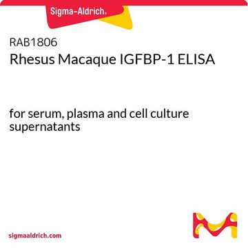 Rhesus Macaque IGFBP-1 ELISA for serum, plasma and cell culture supernatants