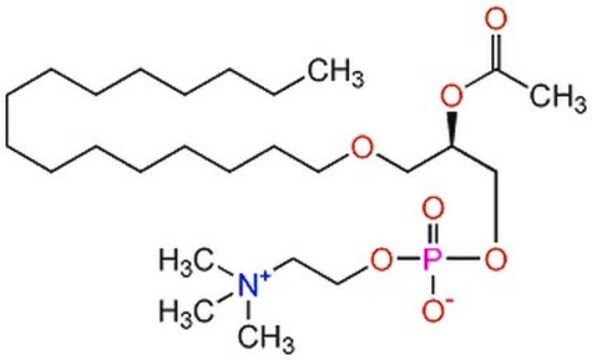 血小板活化因子-16 A potent mediator of inflammation that increases vascular permeability. Activates MAP kinases and MAP kinase kinase (MEK) in CHO cells.