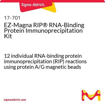 EZ-Magna RIP&#174; Zestaw do immunoprecypitacji białek wiążących RNA 12 individual RNA-binding protein immunoprecipitation (RIP) reactions using protein A/G magnetic beads