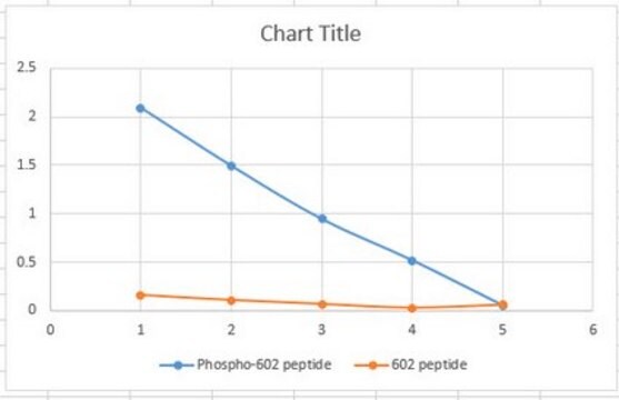 Anti-phospho-eNOS (Ser602) from rabbit