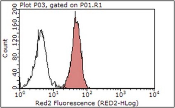 Anti-Integrin alpha-V Antibody, clone 272-17E6 (Azide free) clone 272-17E6, from mouse