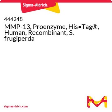 MMP-13, Proenzyme, His&#8226;Tag&#174;, Human, Recombinant, S. frugiperda