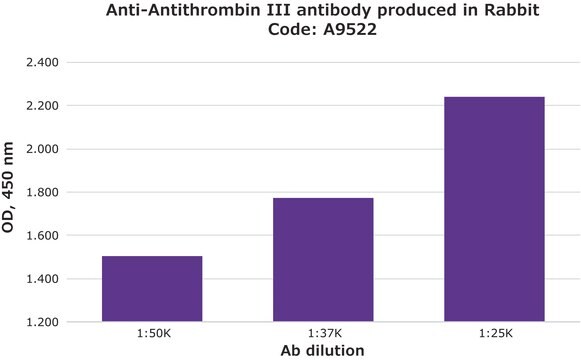 Anti-Antithrombin III antibody produced in rabbit fractionated antiserum, lyophilized powder