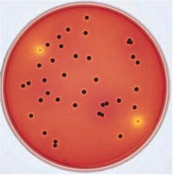 Agar GranuCult&#174; XLT4 (baza) pkg of 500&#160;g, according to USDA-FSIS, ISO 6579, for Salmonella spp.