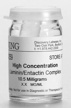 1240 Laminina/Entaktyna from mouse(High Concentration), pack of 10.5&#160;mg