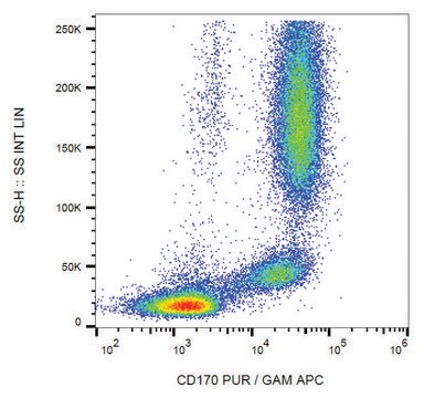 Monoclonal Anti-CD170 antibody produced in mouse clone 1A5