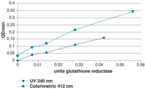 谷胱甘肽还原酶检测试剂盒 Sufficient for 100 colorimetric tests