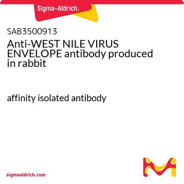 Anti-WEST NILE VIRUS ENVELOPE antibody produced in rabbit affinity isolated antibody