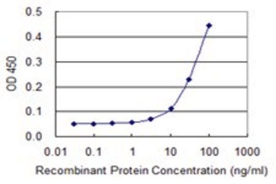 Monoclonal Anti-HBG1 antibody produced in mouse clone 1G8, purified immunoglobulin, buffered aqueous solution