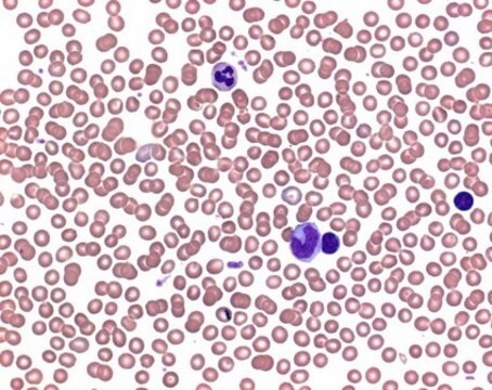 Buffer tablets pH 6.8 for preparing buffer solution acc. to WEISE for the staining of blood smears