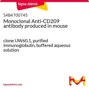 Monoclonal Anti-CD209 antibody produced in mouse clone UW60.1, purified immunoglobulin, buffered aqueous solution