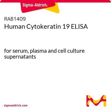 Human Cytokeratin 19 ELISA for serum, plasma and cell culture supernatants