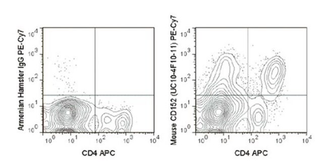 Przeciwciało anty-CD152 (CTLA-4) (mysz), PE-Cy7, klon UC10-4F10-11 clone UC10-4F10-11, from hamster(Armenian), PE-Cy7