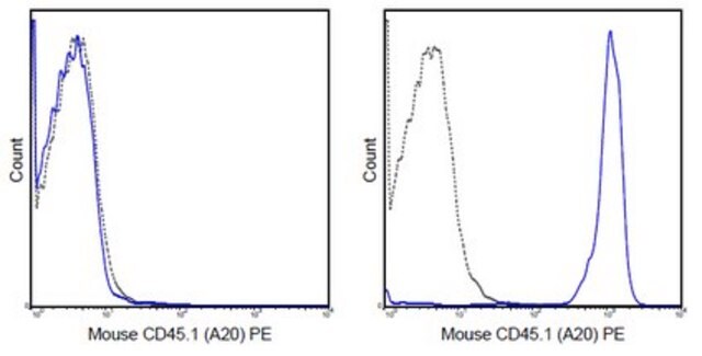 Anti-CD45.1 Antibody (mouse), PE, clone A20 clone A20, 0.2&#160;mg/mL, from mouse