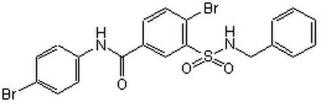 RAD51-Stimulatory Compound-1, RS-1 A cell-permeable sulfonamido-benzamide-based allosteric regulator that stimulates DNA binding and recombinase activities of hRAD51 by locking hRAD51 in an active conformation without affecting its active site ATP hydrolysis.