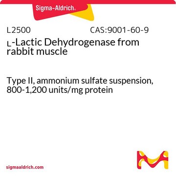 L-Lactic Dehydrogenase from rabbit muscle Type II, ammonium sulfate suspension, 800-1,200&#160;units/mg protein