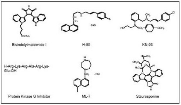 Serine/Threonine Kinase Inhibitor Set The Serine/Threonine Kinase Inhibitor Set controls the biological activity of Serine/Threonine Kinase. This small molecule/inhibitor is primarily used for Phosphorylation &amp; Dephosphorylation applications.