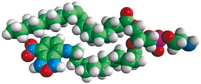 18:1-12:0 NBD PE Avanti Polar Lipids 810156P, powder