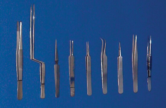 Stainless steel forceps Specimen, L 6&#160;in.