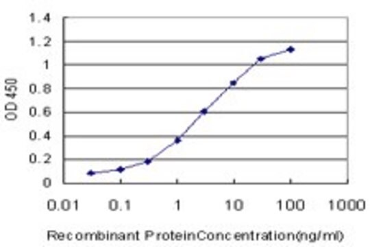 Monoclonal Anti-KLF9 antibody produced in mouse clone 2B9, purified immunoglobulin, buffered aqueous solution