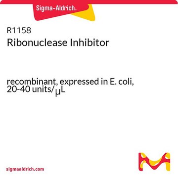 核糖核酸酶抑制因子 recombinant, expressed in E. coli, 20-40&#160;units/&#956;L