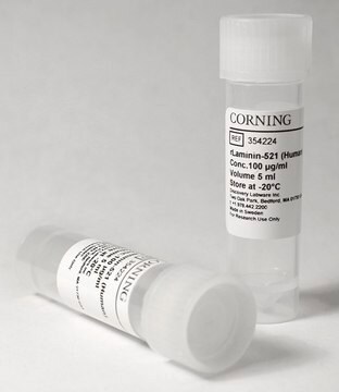 Corning&#174; rLaminin-521 from human, pack of 500&#160;&#956;g