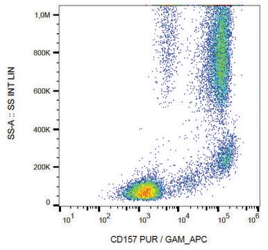 Monoclonal Anti-CD157 antibody produced in mouse clone SY11B5