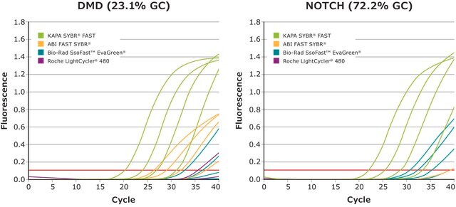 KAPA SYBR&#174; FAST suitable for qPCR, 2&#160;×, ABI PRISM&#174;