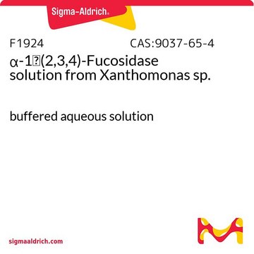 &#945;-1&#8594;(2,3,4)-Fucosidase solution from Xanthomonas sp. buffered aqueous solution