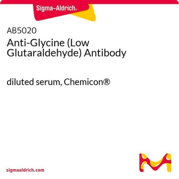 Anti-Glycine (Low Glutaraldehyde) Antibody diluted serum, Chemicon&#174;