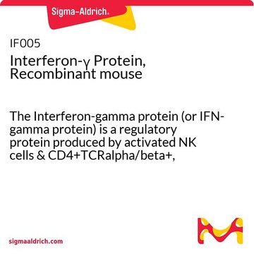 Protéine interféron-&#947;, recombinante, de souris The Interferon-gamma protein (or IFN-gamma protein) is a regulatory protein produced by activated NK cells &amp; CD4+TCRalpha/beta+, CD8+TCRalpha/beta+ &amp; TCRgamma/delta+ T cells.