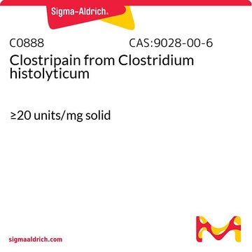 Clostripain from Clostridium histolyticum &#8805;20&#160;units/mg solid