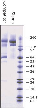 &#945;2-巨球蛋白 来源于人类血浆 BioUltra, &#8805;98% (SDS-PAGE)