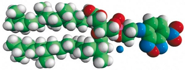 4ME 16:0 NBD PE (NBD-DPhPE) 1,2-diphytanoyl-sn-glycero-3-phosphoethanolamine-N-(7-nitro-2-1,3-benzoxadiazol-4-yl) (ammonium salt), powder