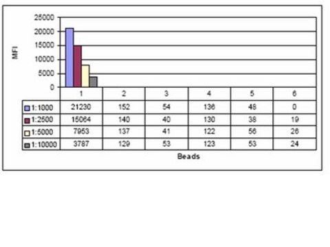 Anti-phospho-CENP-A (Ser7) Antibody, clone NL41, rabbit monoclonal culture supernatant, clone NL41, Upstate&#174;