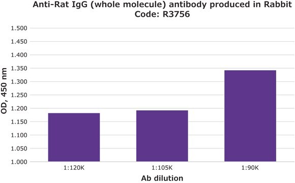 抗 大鼠 IgG（全分子） 兔抗 affinity isolated antibody, buffered aqueous solution