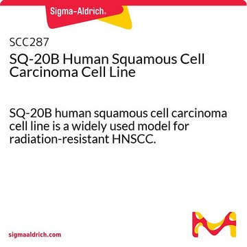 Linia komórkowa ludzkiego raka płaskonabłonkowego SQ-20B SQ-20B human squamous cell carcinoma cell line is a widely used model for radiation-resistant HNSCC.