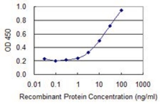 Monoclonal Anti-ATP6V1B1 antibody produced in mouse clone 3G11, purified immunoglobulin, buffered aqueous solution