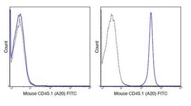 Anti-CD45.1 Antibody (mouse), clone A20 clone A20, 0.5&#160;mg/mL, from mouse