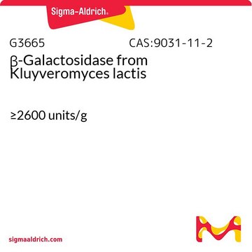 β-ガラクトシダーゼ Kluyveromyces lactis由来 &#8805;2600&#160;units/g