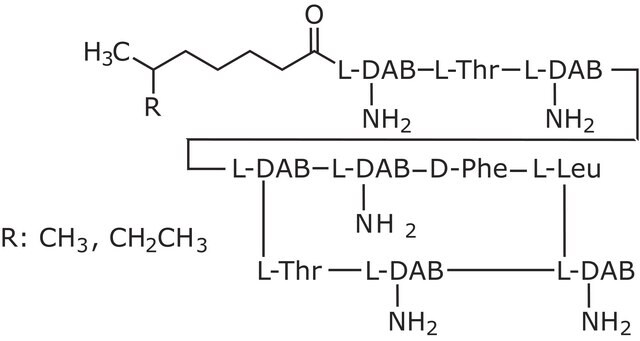 ポリミキシンB-アガロース aqueous glycerol suspension