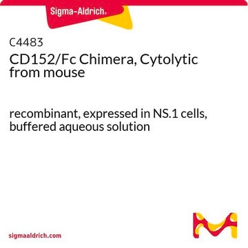 CD152/Fc Chimera, Cytolytic from mouse recombinant, expressed in NS.1 cells, buffered aqueous solution